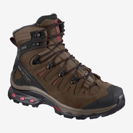 Salomon QUEST 4D 3 GTX W Womens Hiking Boots Brown | Salomon South Africa